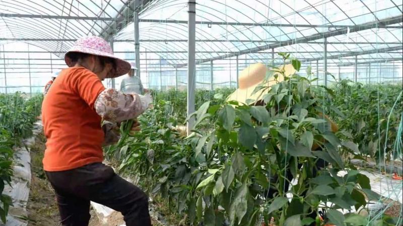 以文润心，以美育人——经典文学与当代审美素养提升讲座